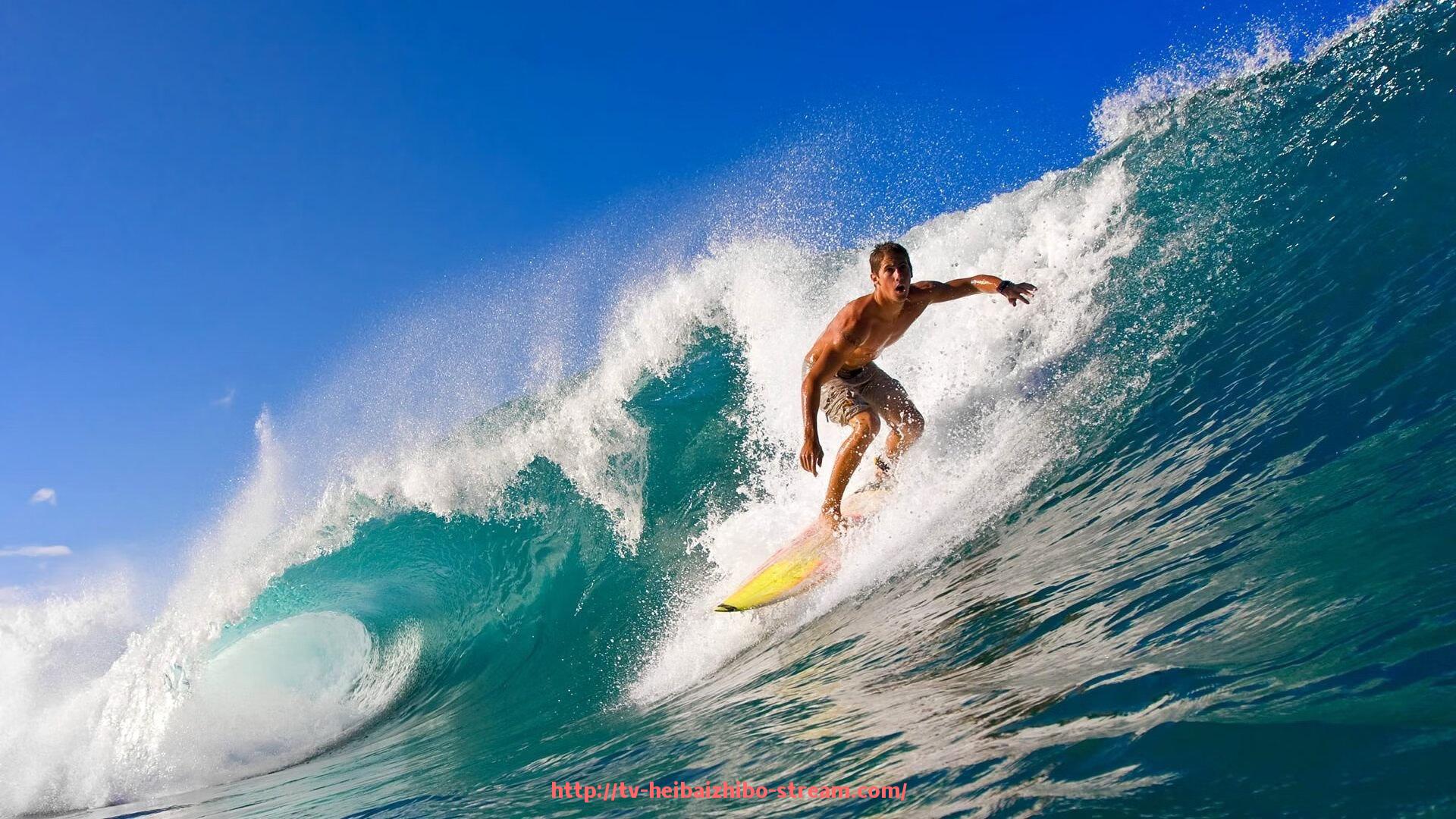 黑白体育直播-意甲球队的官方号运营与球迷互动方式