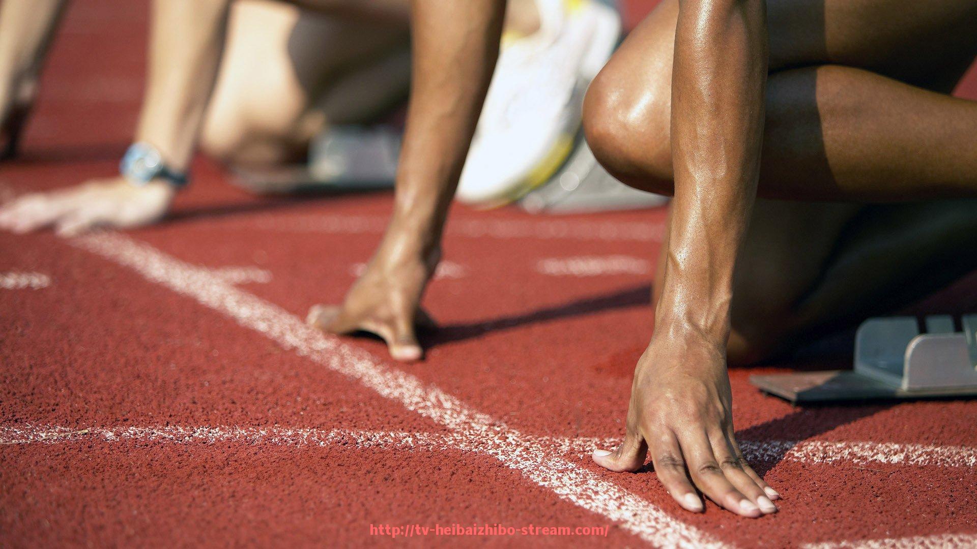 黑白体育直播-意甲联赛球队首发阵容合集：2025赛季各队首发预测