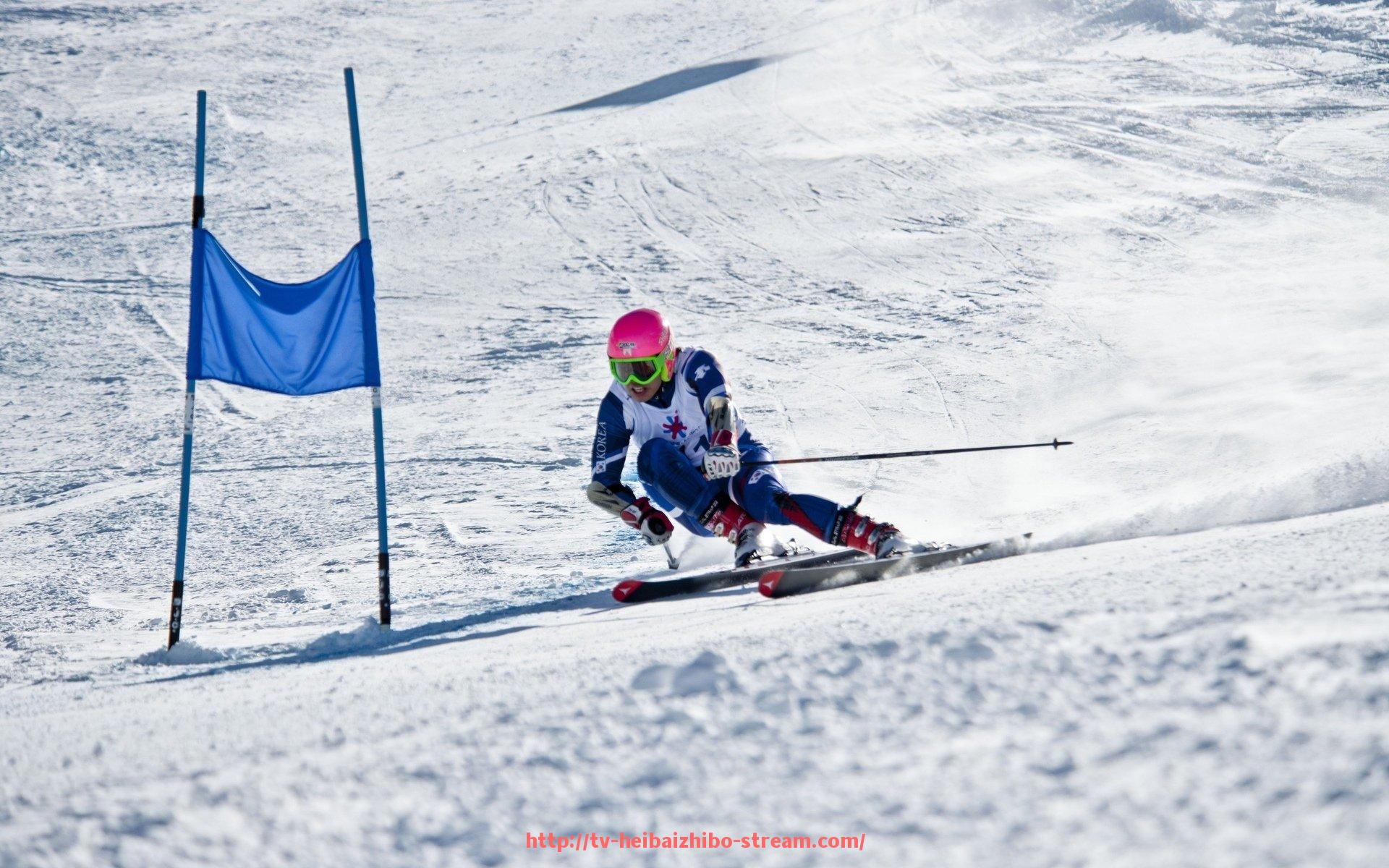 黑白体育直播-世俱杯球队训练球鞋品牌及性能综合评测